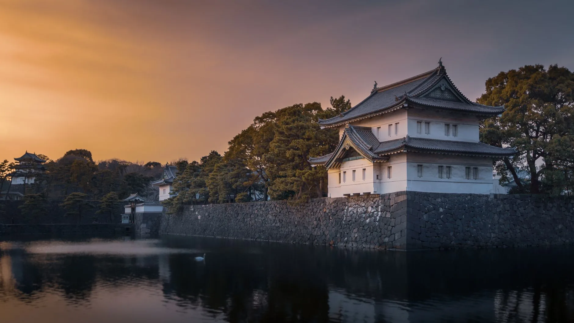 Debate sobre a preservação da linhagem imperial masculina do Japão ganha força