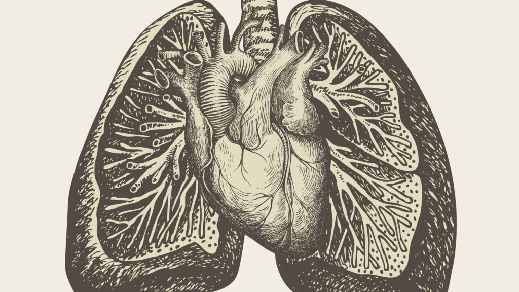 Entenda a hipertensão pulmonar e o potencial de um novo medicamento GLP-1
