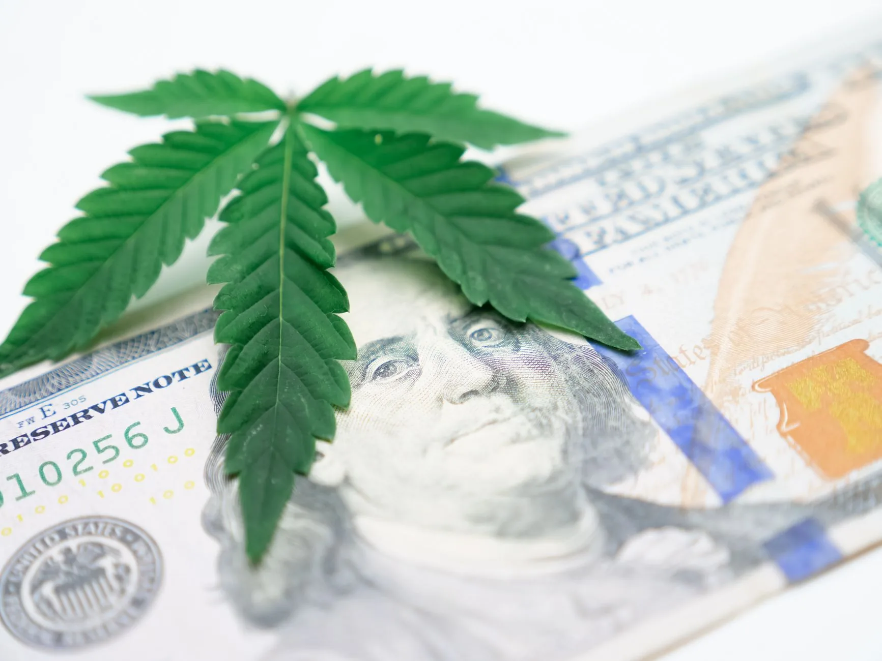 Análise: O Impacto da Legalização da Maconha na Economia da Virgínia e Outros Fatores Econômicos Relevantes