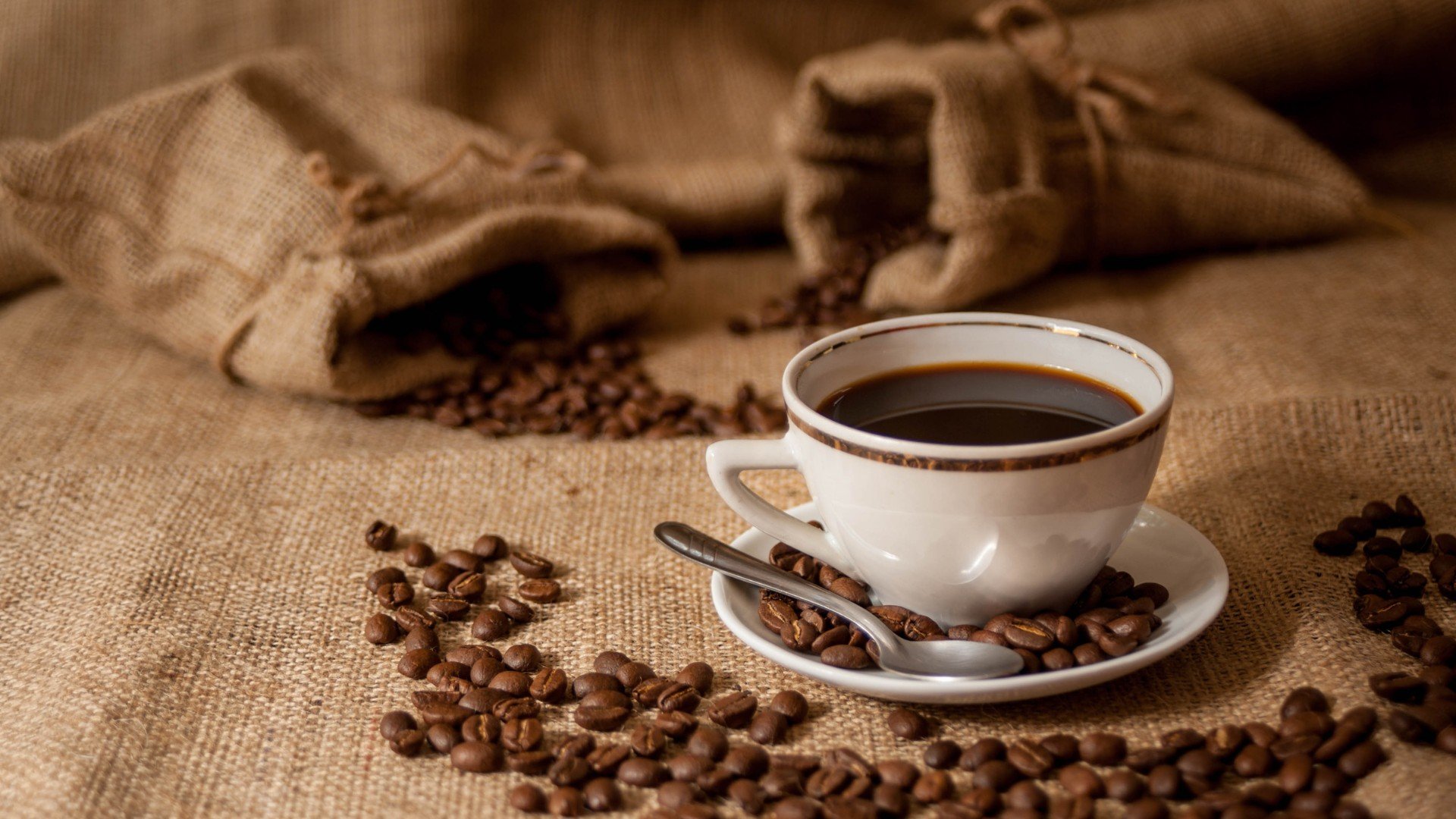 'Veneno no seu café': Relatório revela uso excessivo de pesticidas na produção global