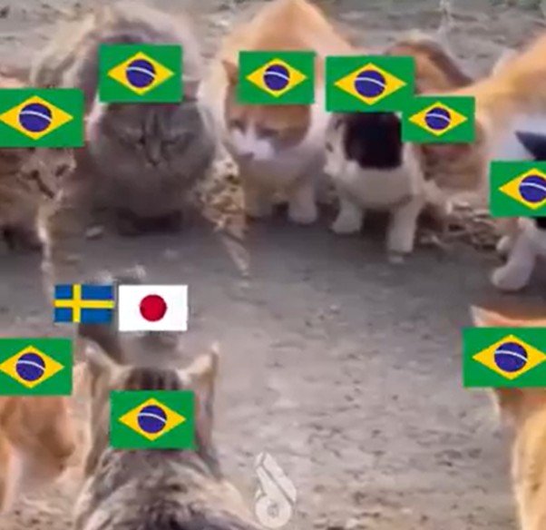 Japão empata com Suécia e avança para enfrentar o Brasil nas oitavas da Copa do Mundo