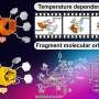 Estudo revela código molecular oculto em grupos tosila que orienta formação de pillararenos