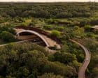 Ponte terrestre em San Antonio promove a convivência entre fauna e humanos