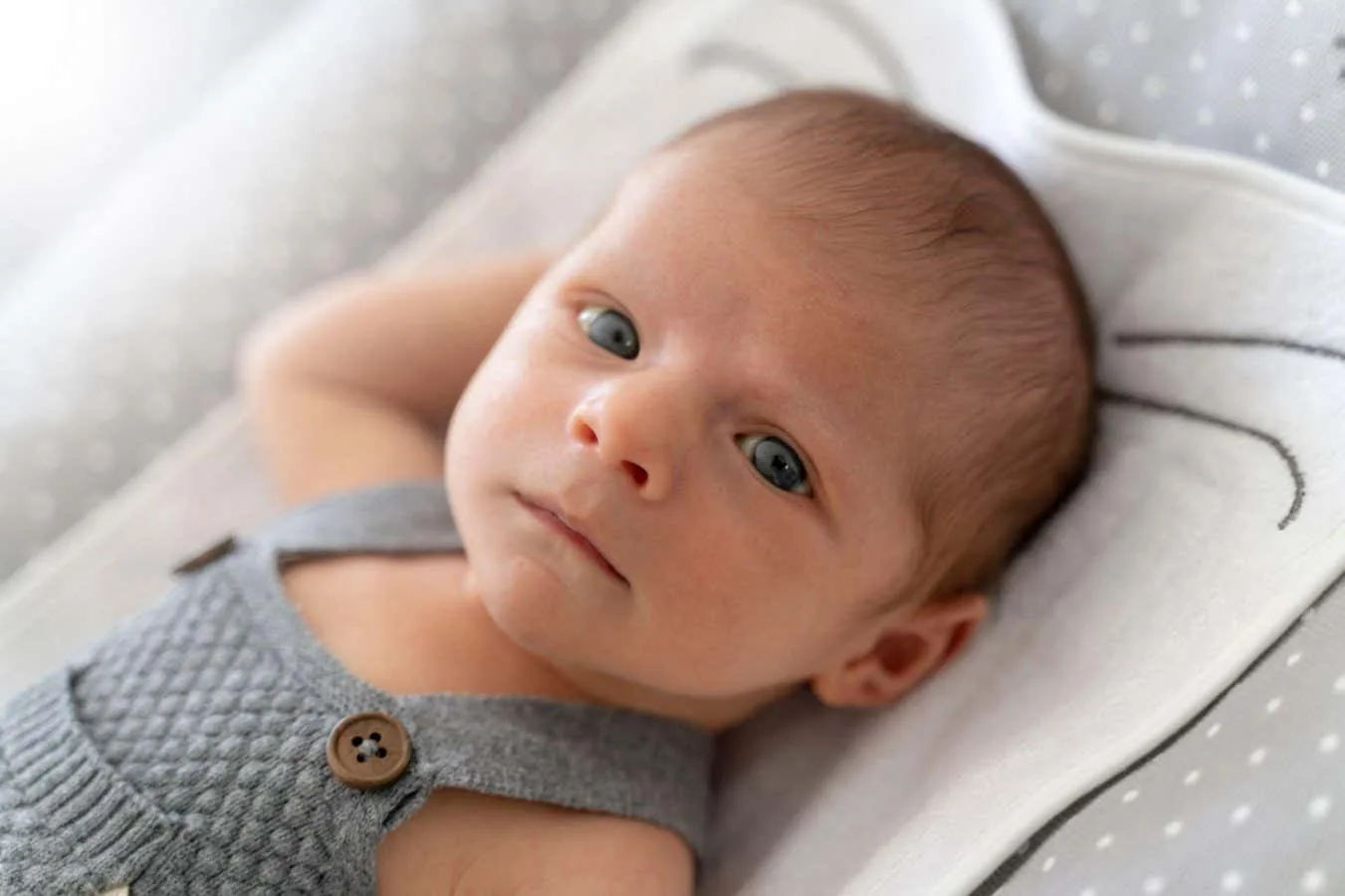 Babies are born with the neural foundations for maths
