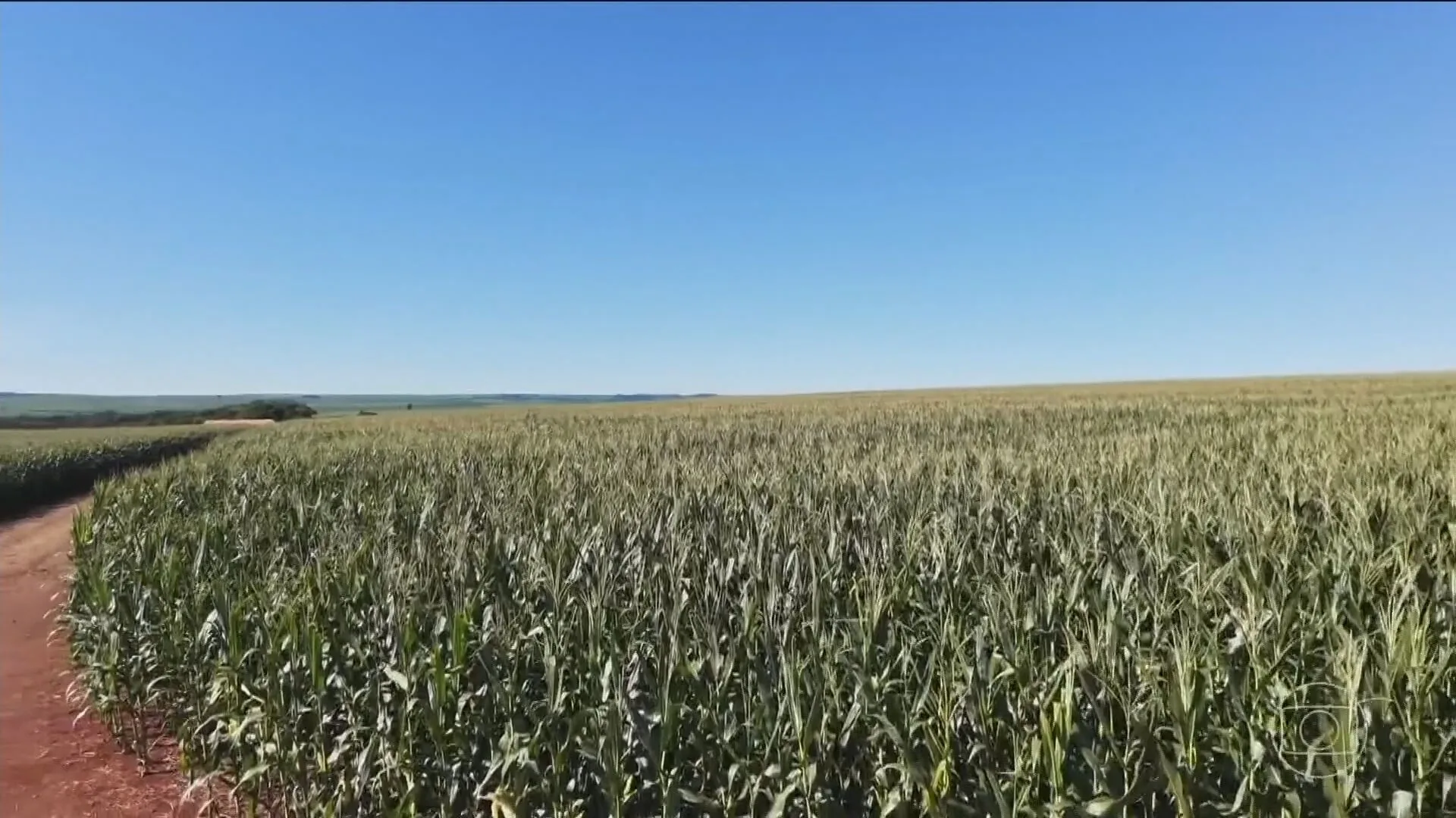 El Niño pode trazer benefícios às safras do Brasil e da Argentina, aponta estudo