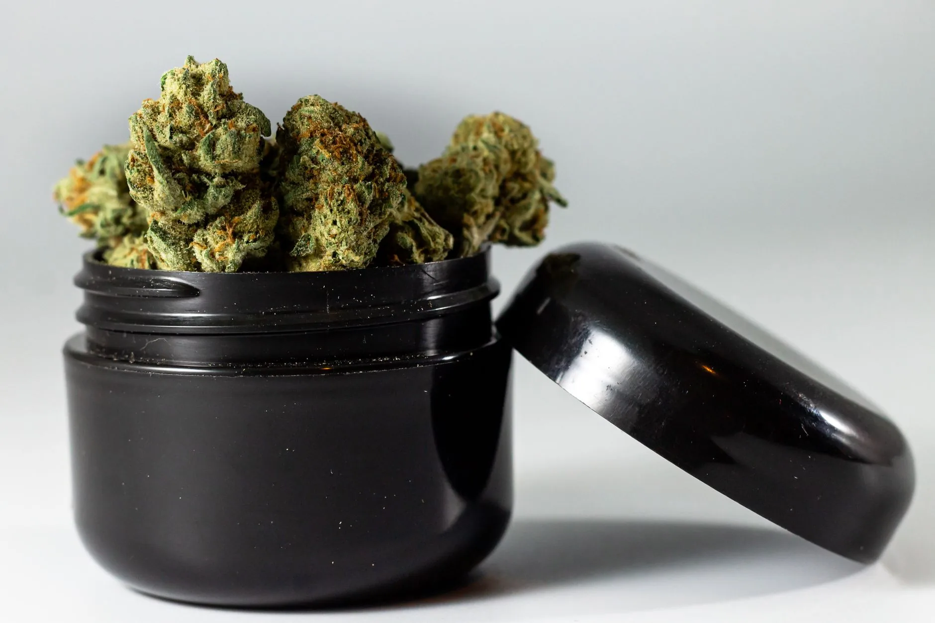 Tilray Brands Expande Plataforma Global de Cannabis Medicinal