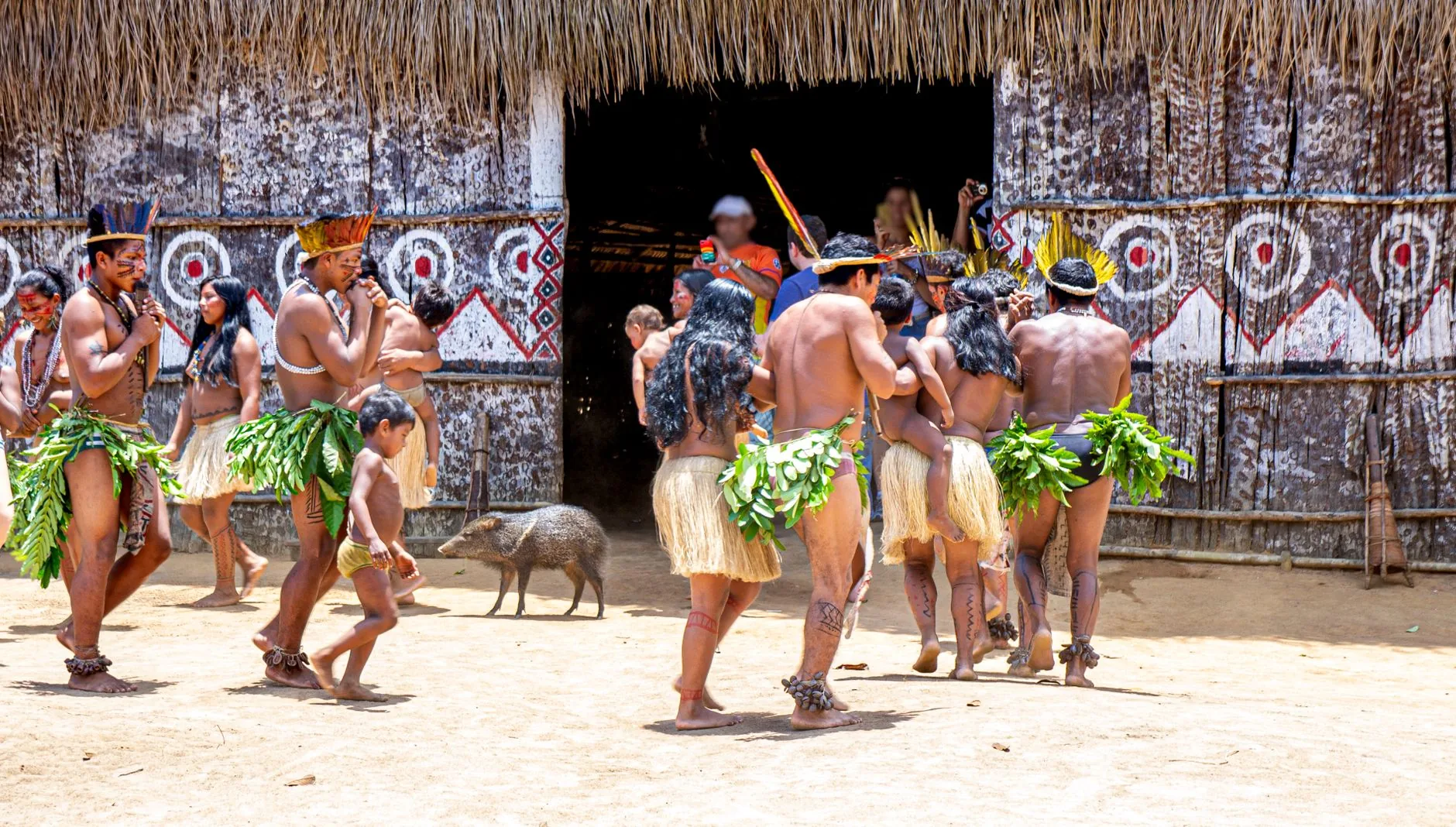 Isabelle Nogueira e Marciele Albuquerque brilham no Festival de Parintins com personagens da fauna e mitologia amazônica