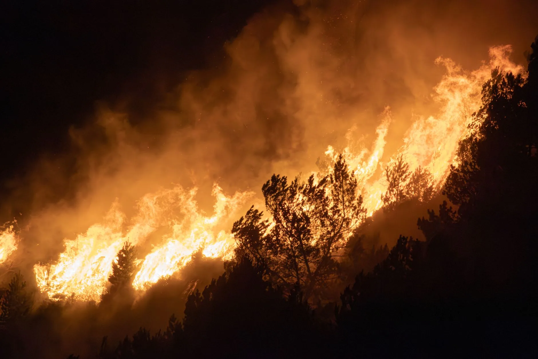Onda de calor na Europa revela falta de preparo diante da crise climática