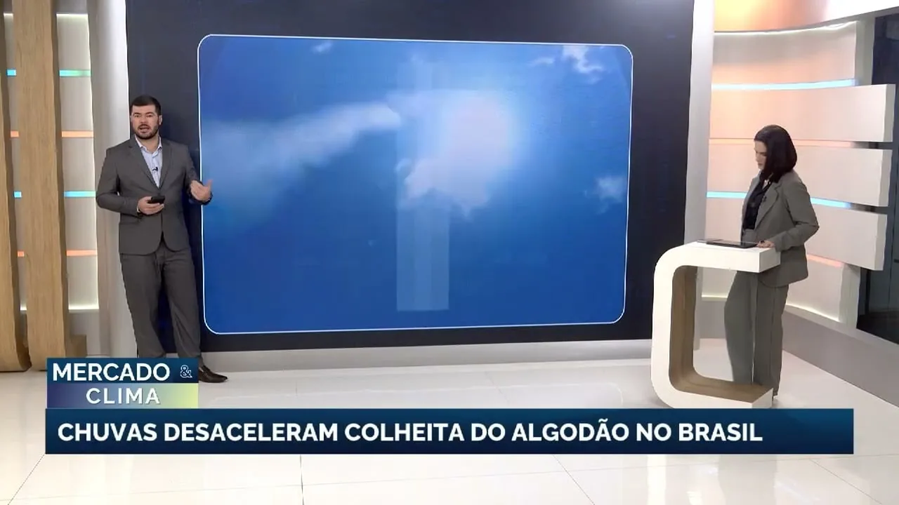 Chuvas atrasam colheita do algodão e alertam para temporais no Sul