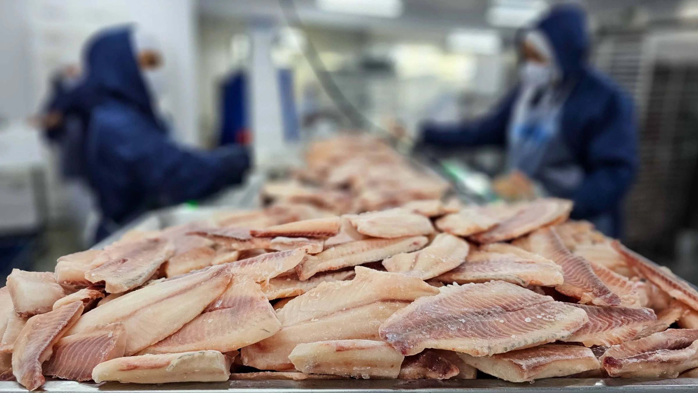Defesa de Pescados Brasileiros em Audiência nos EUA