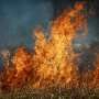 Mulheres indígenas no combate a incêndios: uma oportunidade essencial para fortalecer a força de trabalho e aumentar a segurança comunitária