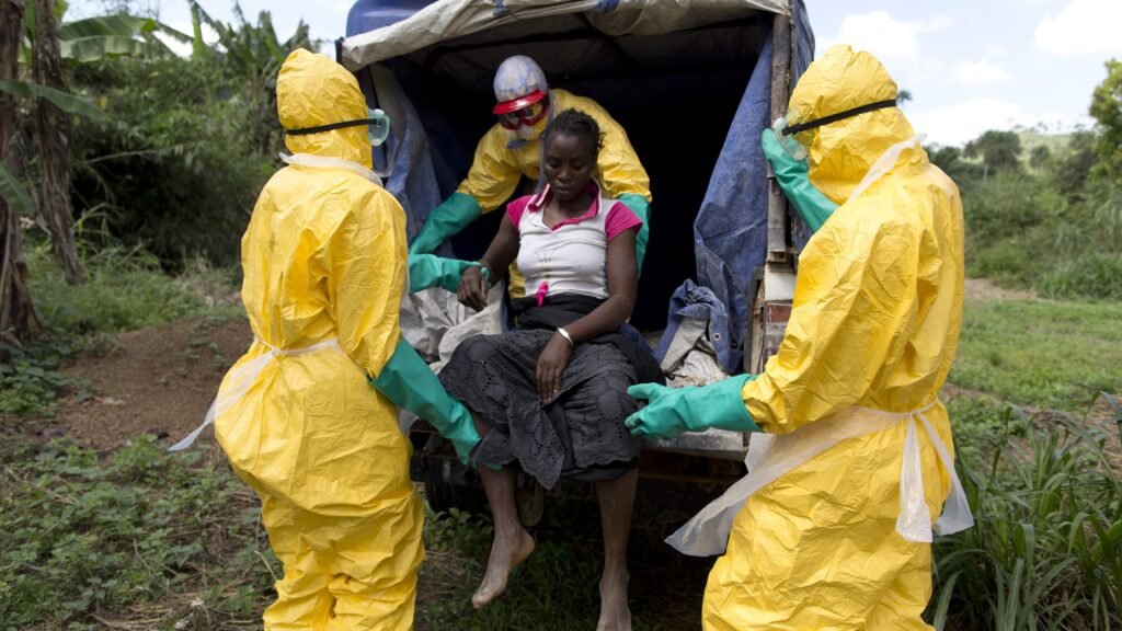 Reflexões sobre a Representação do Ebola: Uma Nova Perspectiva