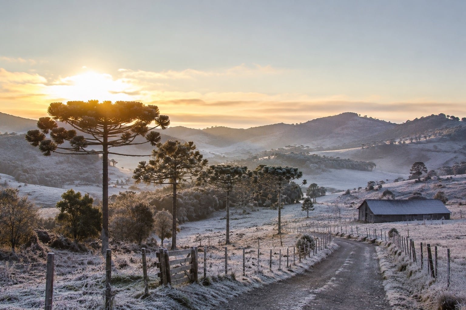 Previsão do Tempo: Frio Intenso e Temporais em Goiás e Região Centro-Sul