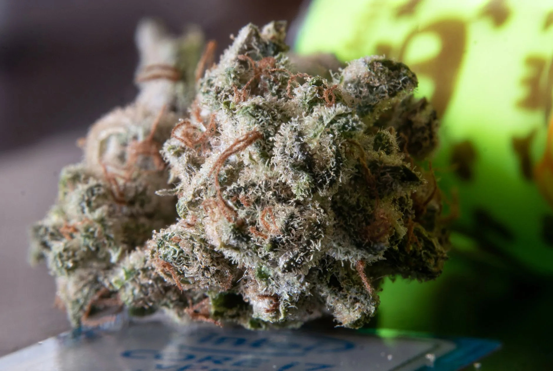 Expansão da Cannabis Medicinal na Geórgia: Novas Leis Entram em Vigor