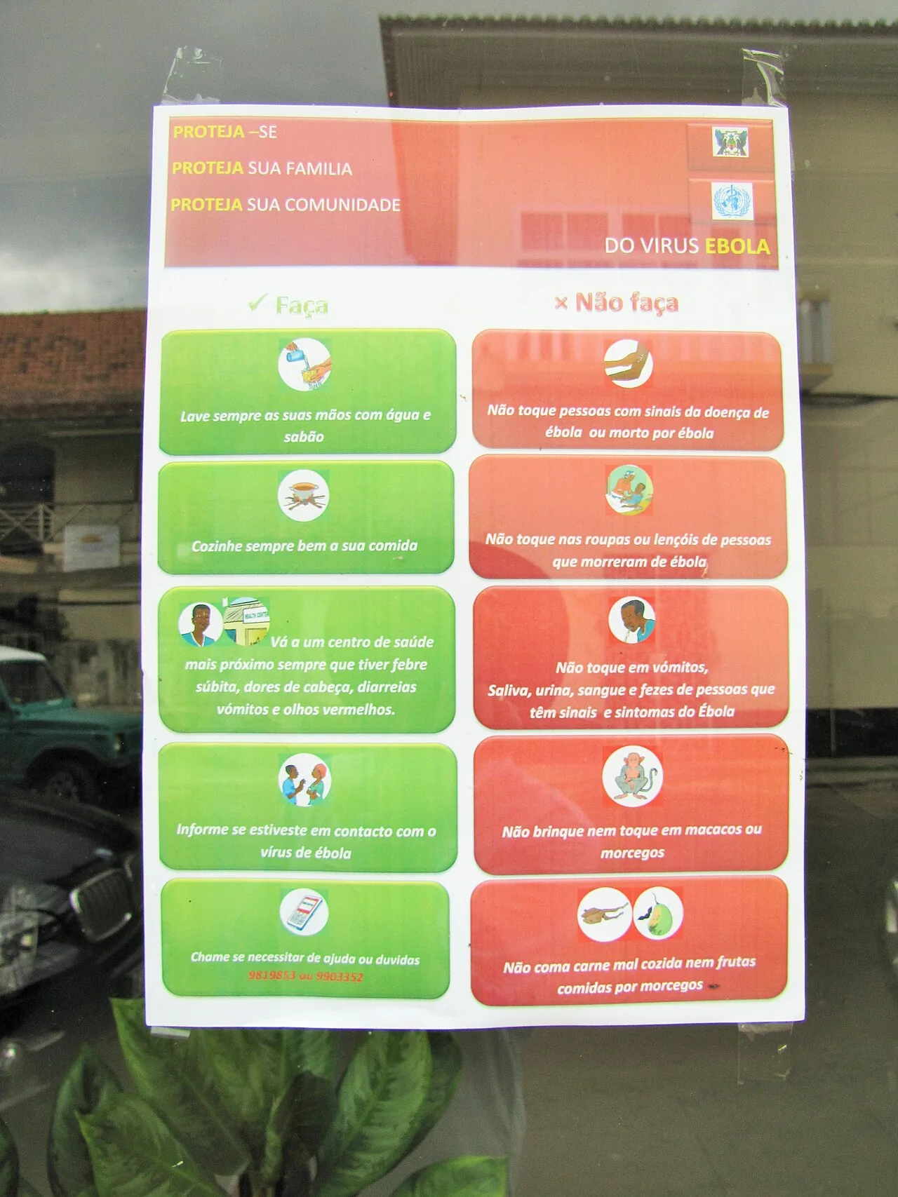Reflexões sobre a Representação do Ebola: Uma Nova Perspectiva