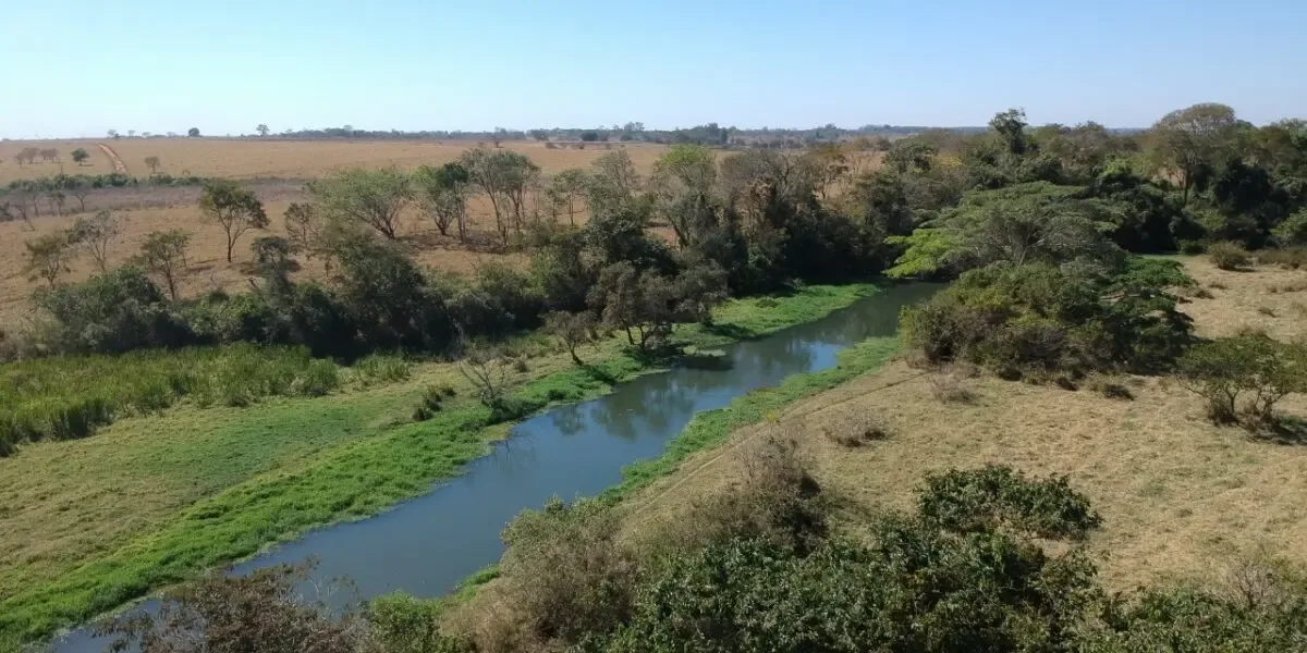 Projeto atualiza política climática de Goiás e prevê fundo para financiar ações ambientais; entenda