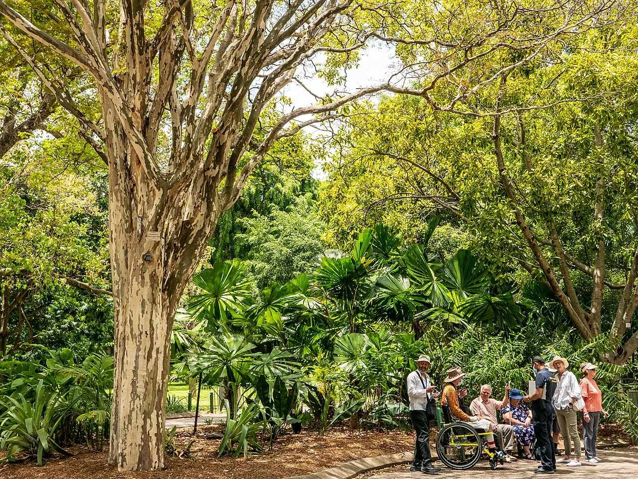 Vereadores de Goiânia intensificam despesas com viagens internacionais em 2025 e 2026