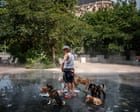 Ondas de calor na Europa elevam preços de eletricidade a novos patamares