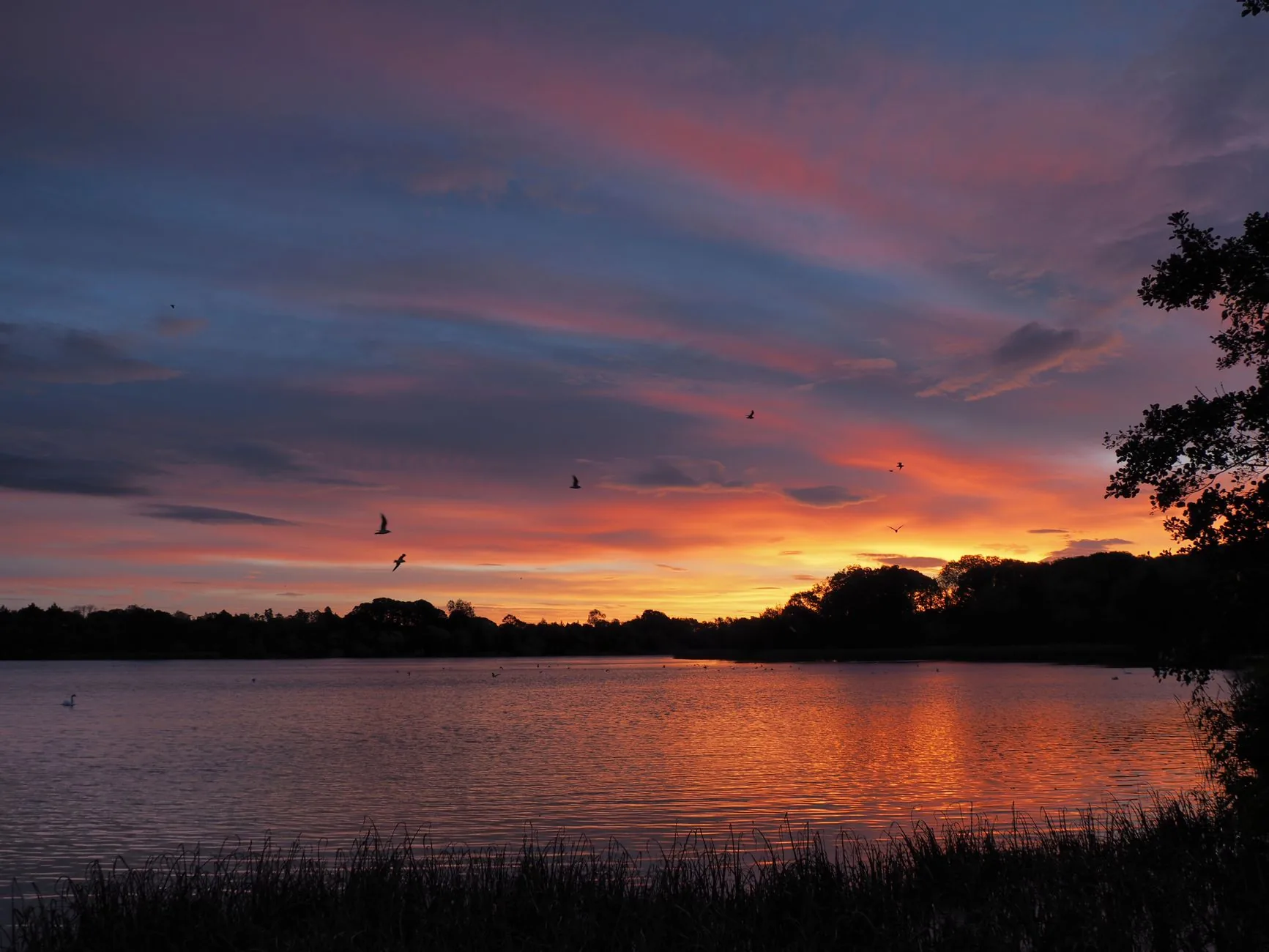 Reconhecimento de Lough Neagh como 'pessoa jurídica' pode ajudar sua preservação