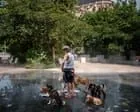 Ondas de calor na Europa elevam preços de eletricidade a novos patamares