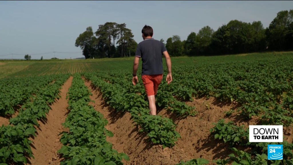 Cooperativa francesa busca demonstrar que a agricultura orgânica pode alimentar o mundo