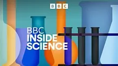 Ciência Explora Táticas Extremas para Enfrentar o Calor e Novas Descobertas sobre a Linguagem