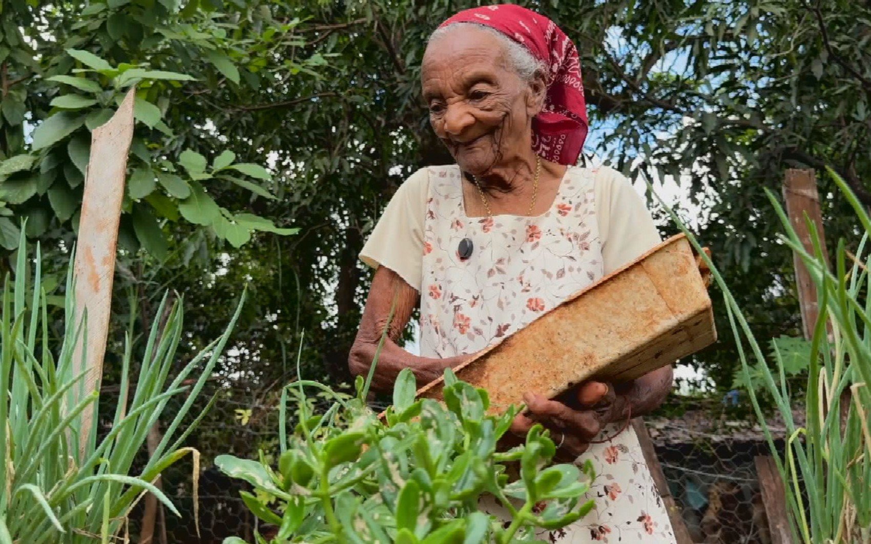 Centenária de Goiás, 'Vovó Joaninha' celebra 109 anos e inspira jovens