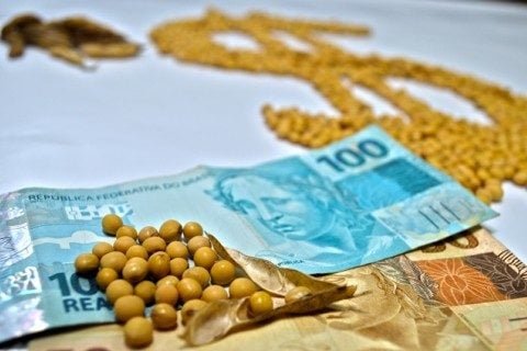 Movimentação no Mercado de Soja: Preços Apresentam Alta em Vários Estados