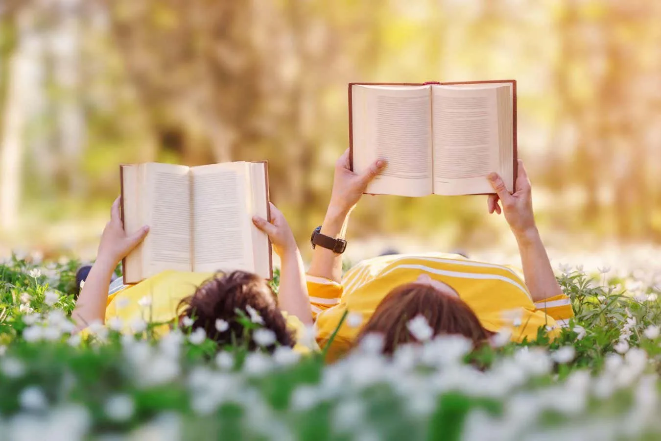 Os 17 melhores livros de ciência popular de 2026 até agora