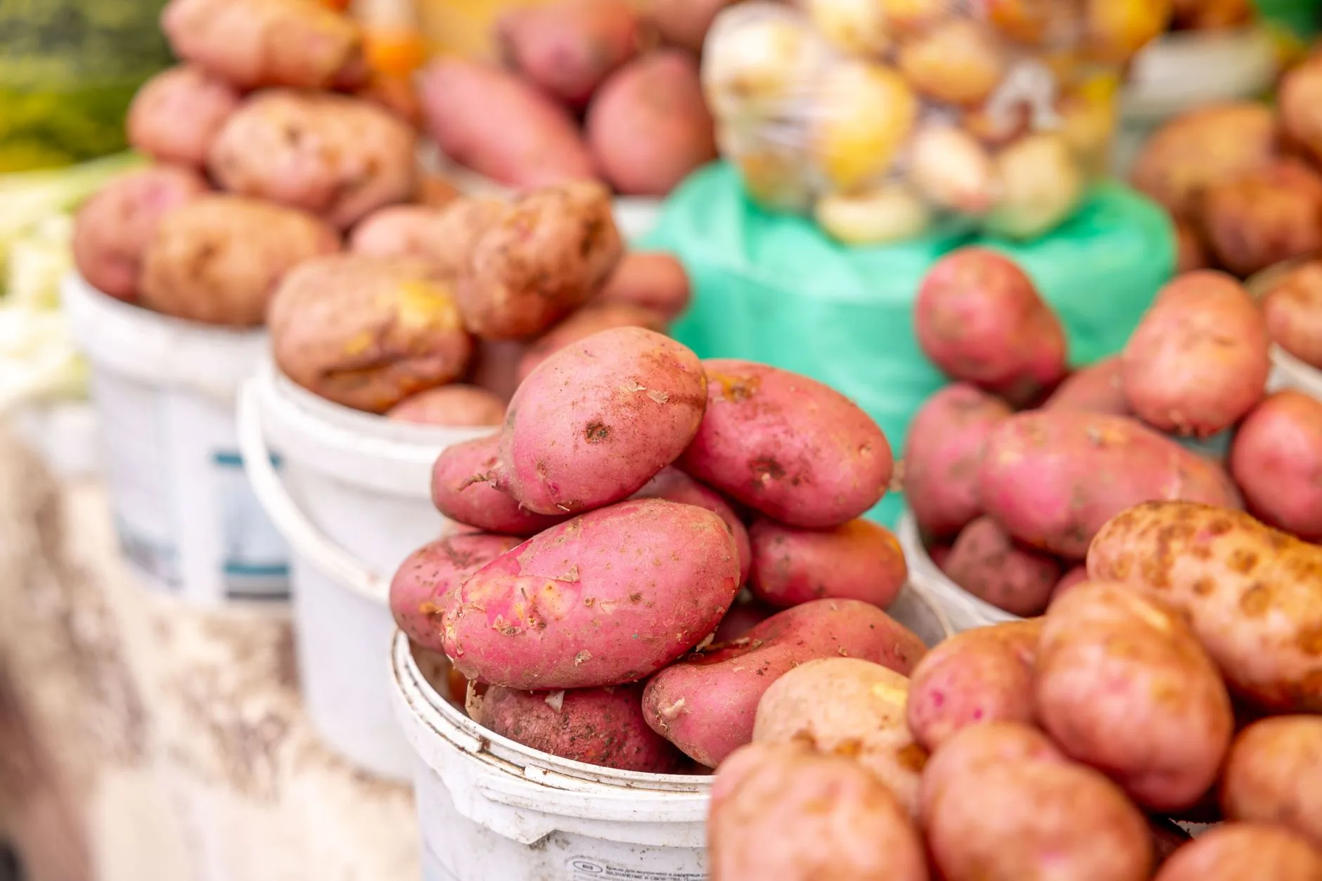 Alta da batata-inglesa supera 111% em Goiás em seis meses