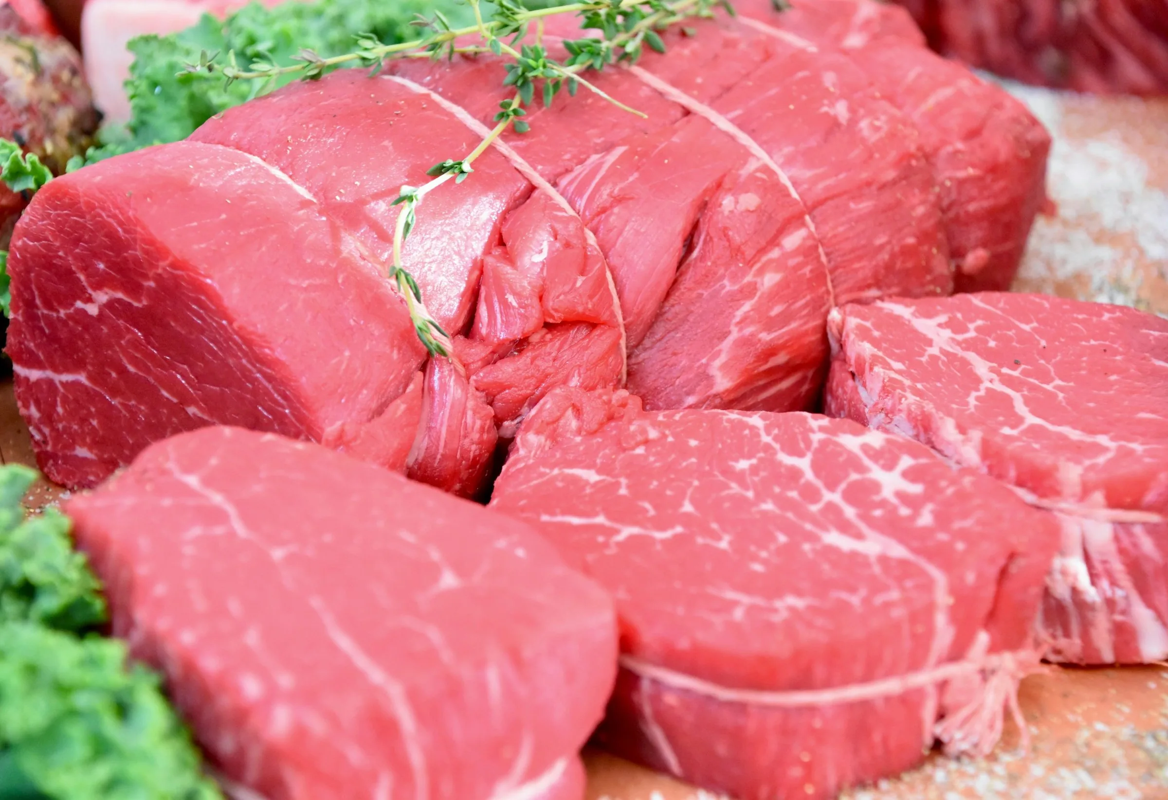 União Europeia intensifica controle sobre antibióticos na pecuária e veta carne brasileira