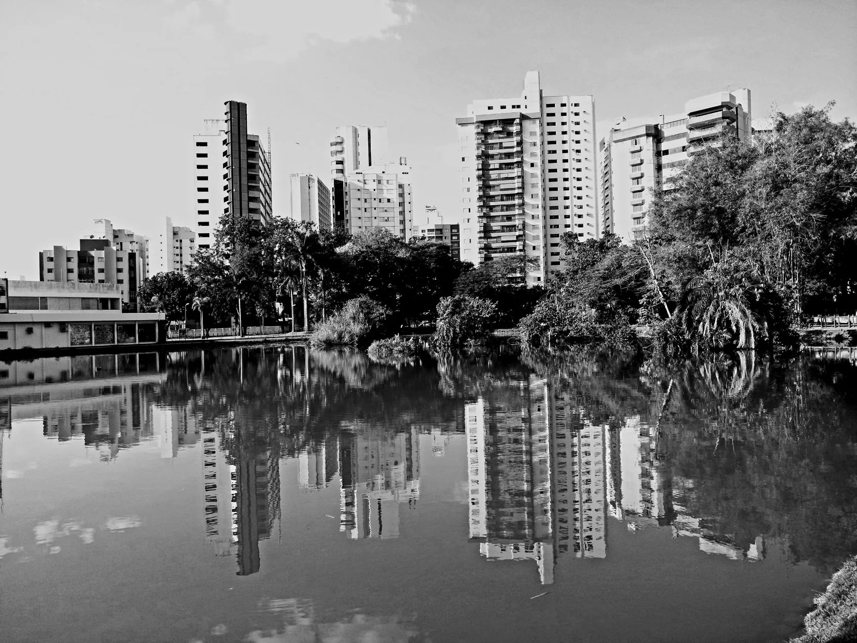 Vereadores de Goiânia Articulam Apoios para Eleições de 2026
