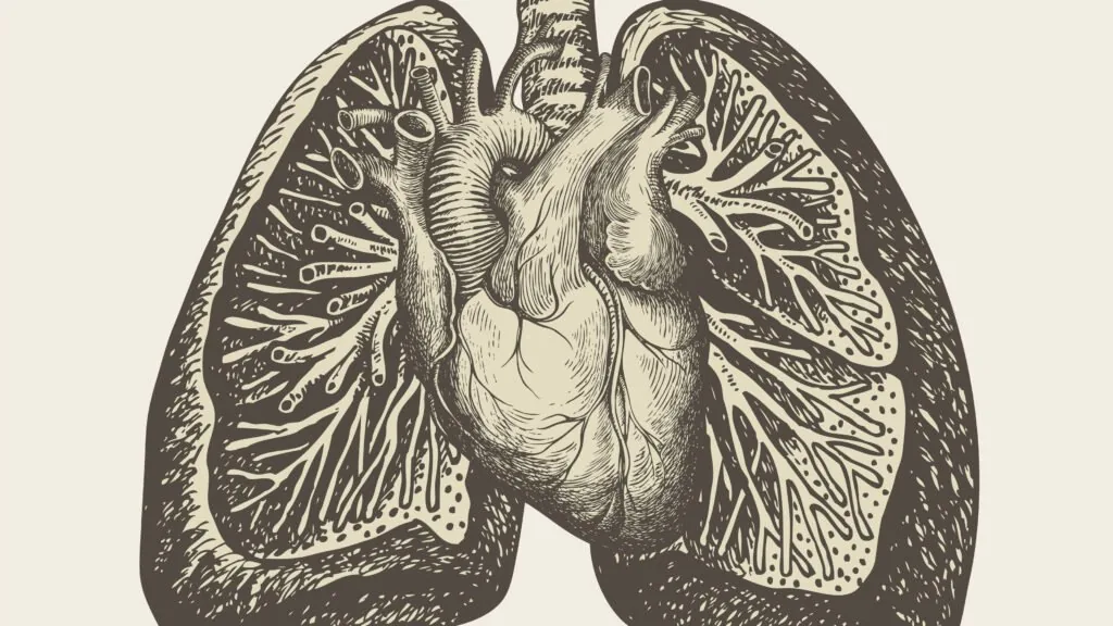 Entenda a hipertensão pulmonar e o potencial de um novo medicamento GLP-1