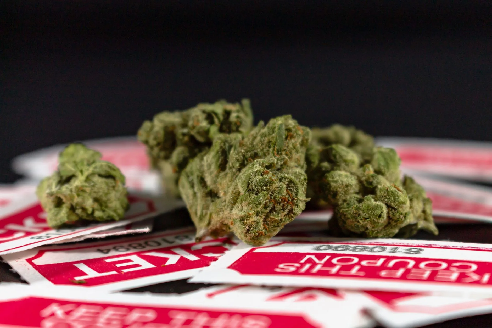 Iniciativa de balotagem sobre maconha medicinal em Idaho enfrenta obstáculo após entrega tardia de assinaturas