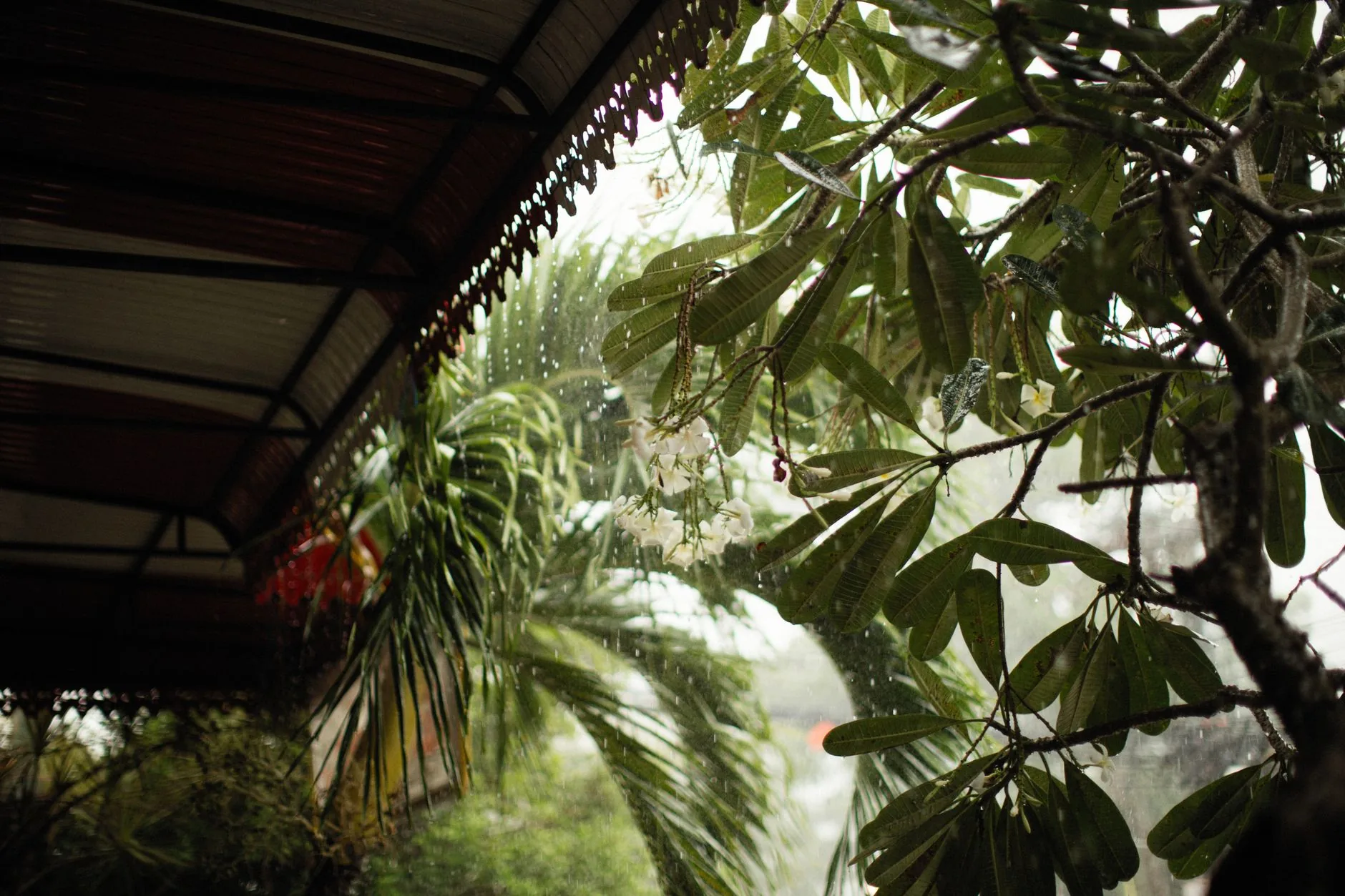 Temperaturas em Goiás devem continuar baixas até sexta-feira; previsão de chuvas isoladas