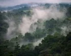 Papua Nova Guiné enfrenta graves escassezes alimentares devido ao El Niño