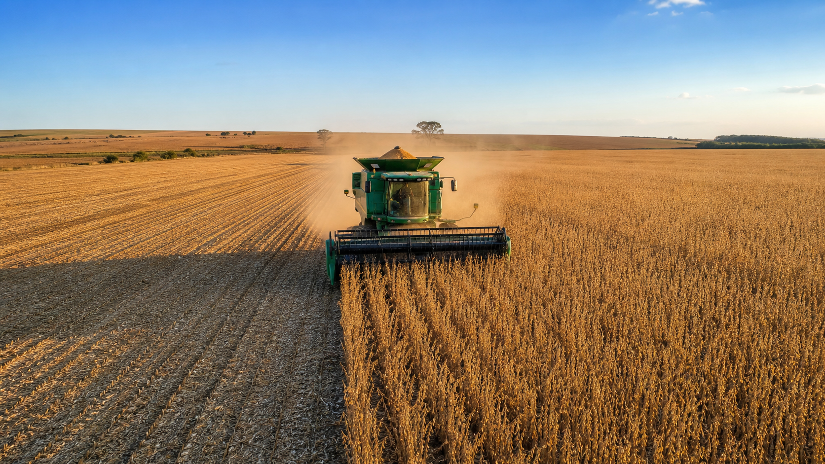 Colheita de soja na Argentina atinge 98%, enquanto milho chega a 51,2%