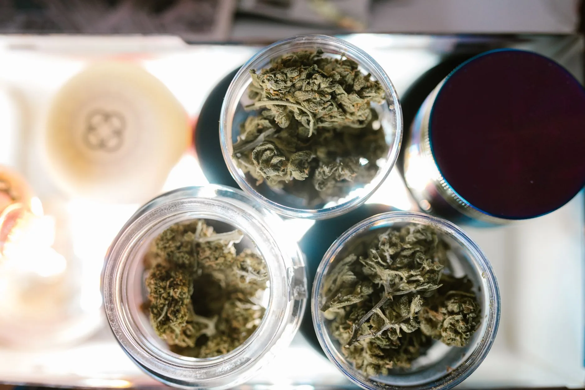 Dispensário de Cannabis Medicinal Fine Fettle é inaugurado em Evans