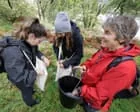 Voluntários ajudam a salvar a floresta atlântica da Escócia com a coleta de 11 milhões de sementes