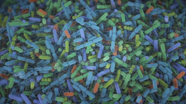 Alterações na Microbiota Intestinal Podem Indicar Doença de Alzheimer