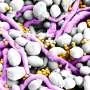 Estudo revela como 'economia do cobre' ajuda fungos e bactérias a formar biofilmes resistentes