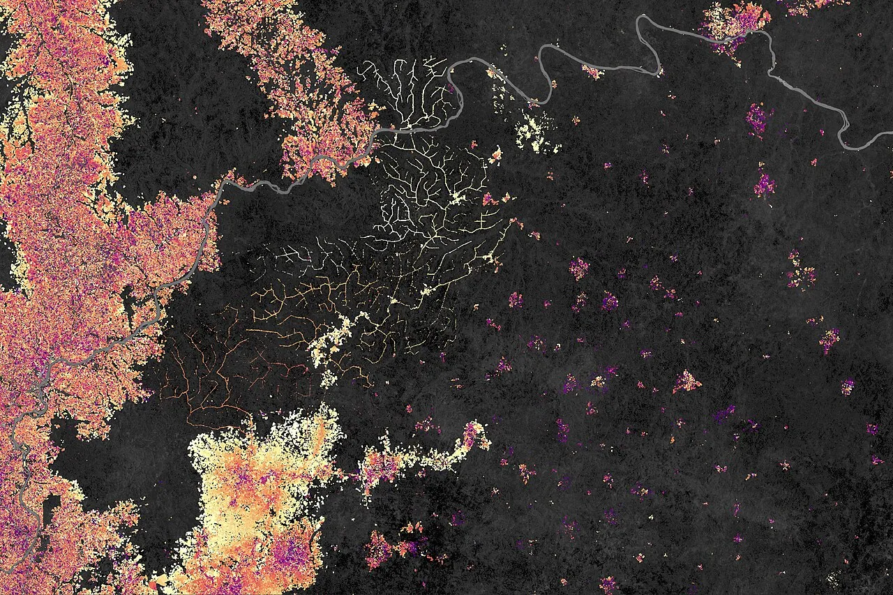 Análise revela dados sobre desmatamento na Amazônia em 2025