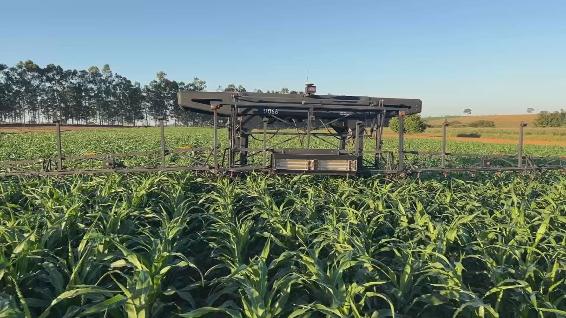 Agro 5.0: Inovações tecnológicas transformam a rotina agrícola no interior de SP