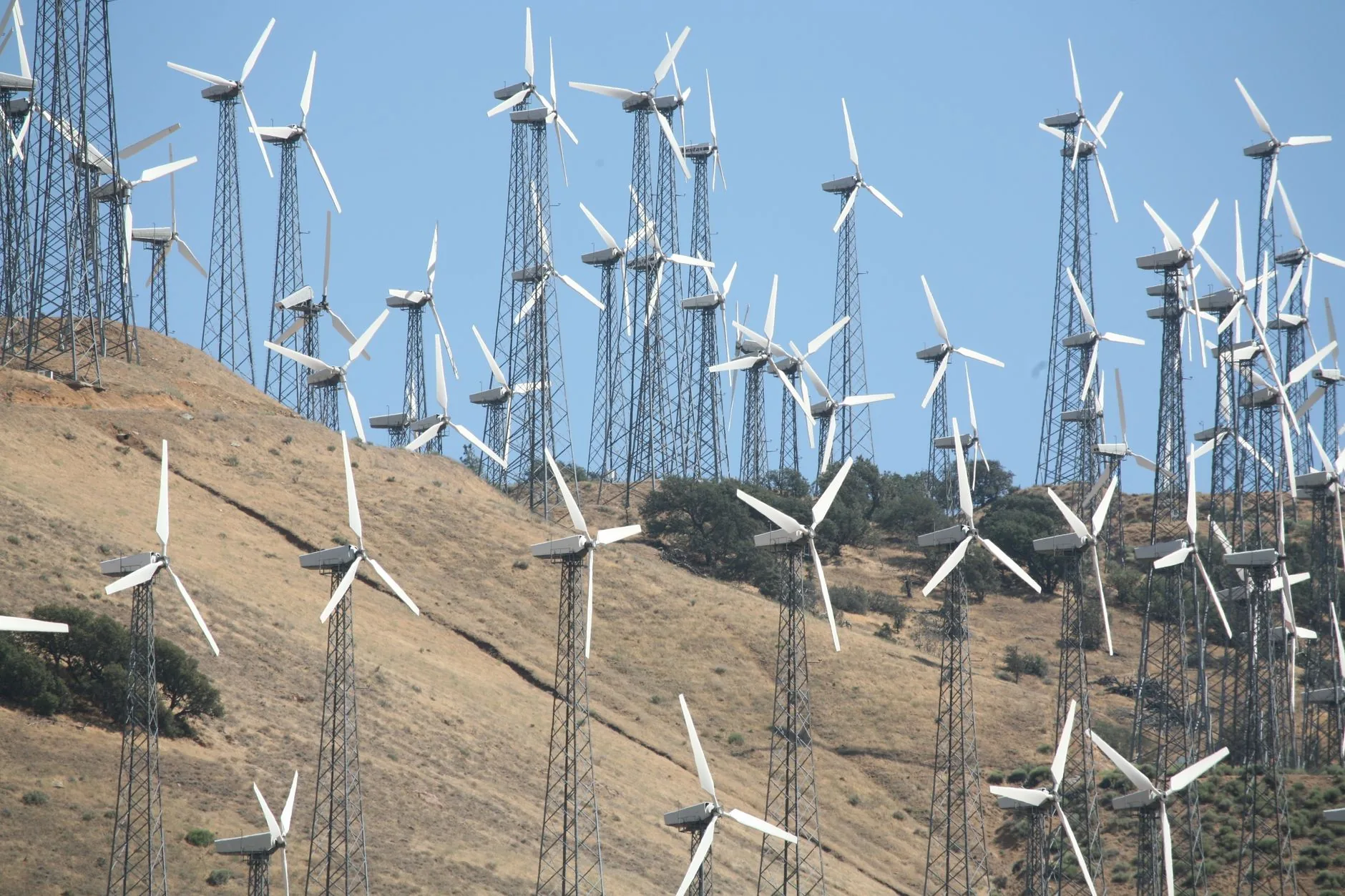 Administração Trump continua a luta contra energia eólica após derrota judicial