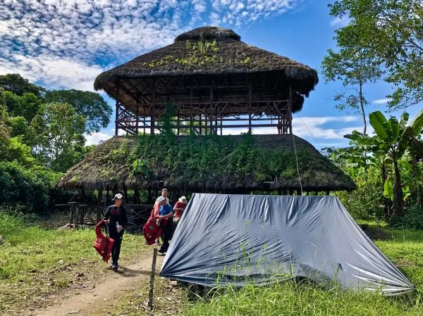 Cacau das várzeas amazônicas: uma alternativa sustentável e resiliente às mudanças climáticas