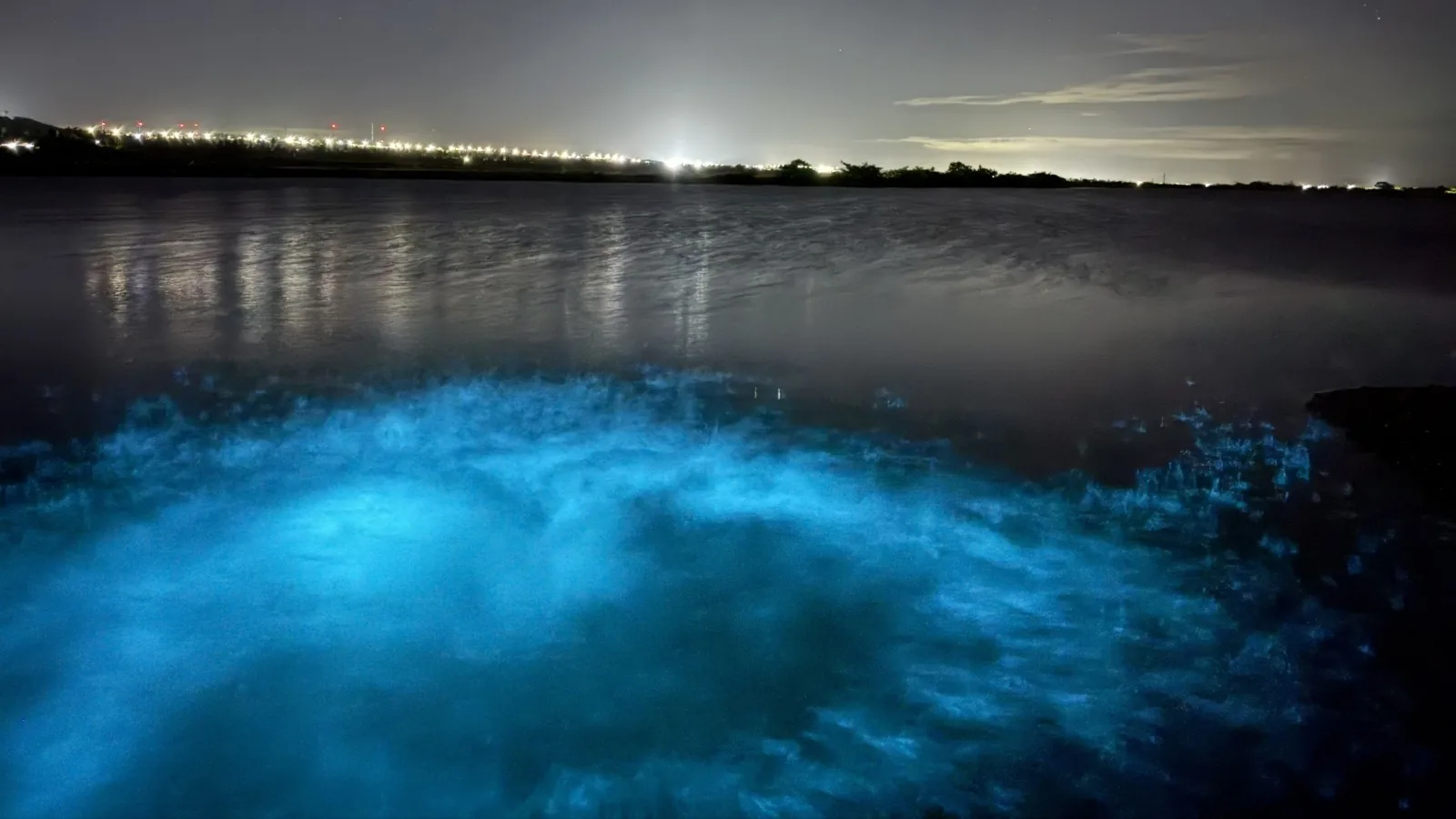 Fenômeno de bioluminescência impressiona em Icapuí, Ceará