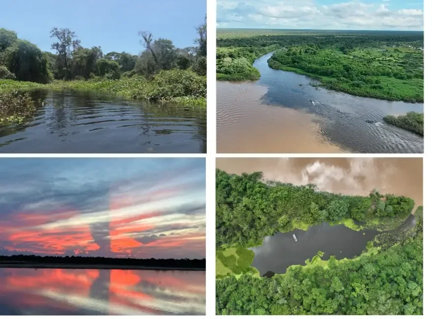 Ecorregiões da planície do Araguaia