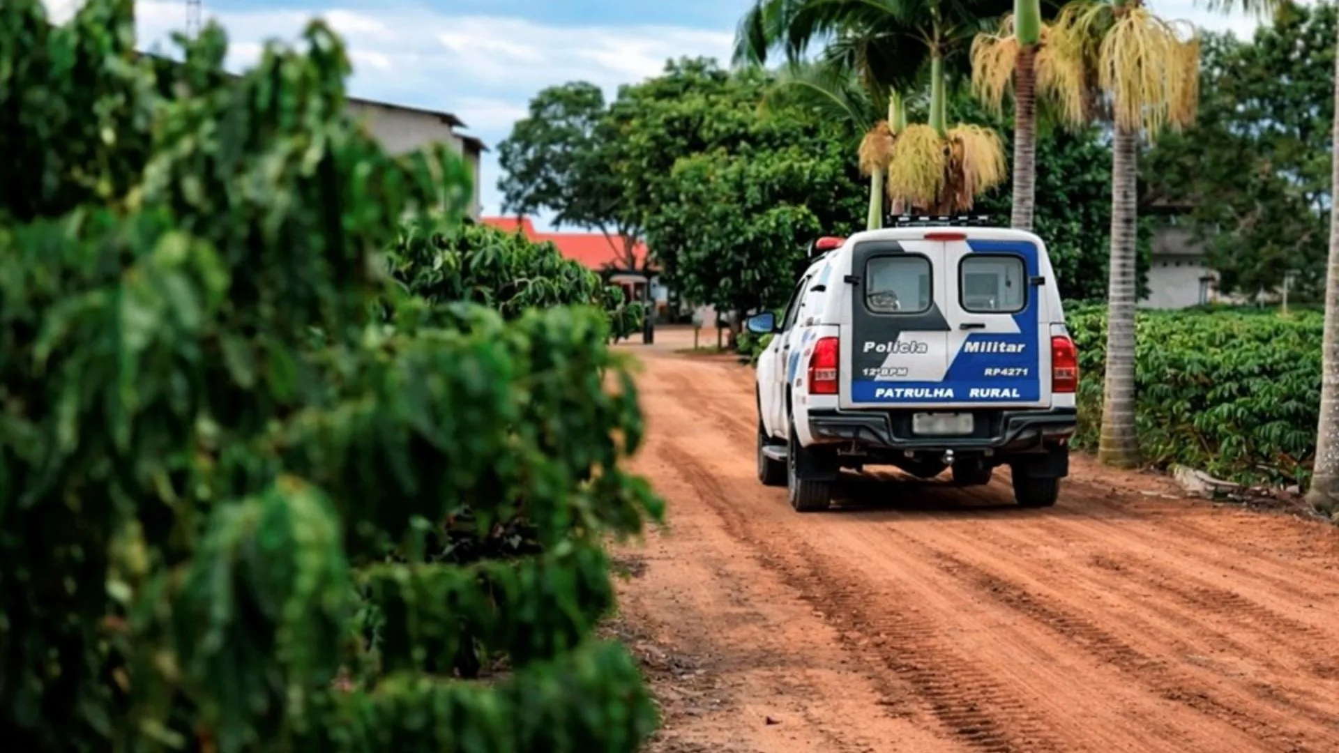 Produtores do Espírito Santo intensificam segurança devido a furtos durante colheita
