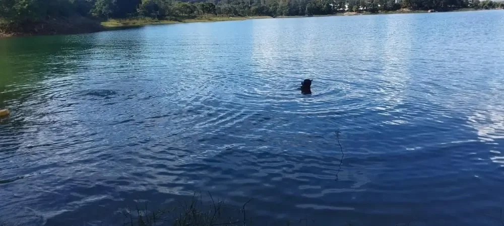 Bombeiros localizam corpos de vítimas de afogamento no Lago Corumbá