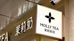 Molly Tea é condenada a indenizar Louis Vuitton em R$ 1,5 milhão